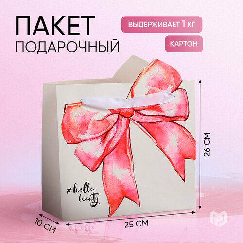 ���� ����� ���������� ������ ������� �������, 25 x 26 x 10 ��, �����, ������ �� 204 ���