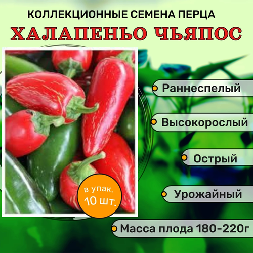 ���� ������������� ������ ����� ������� ��������� ������ F1, ������ �� 122 ���