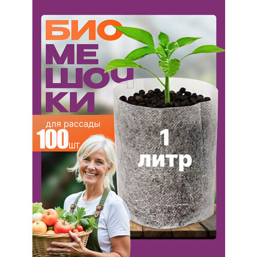     ,   , DeJuDo, 1,100 ,   510 