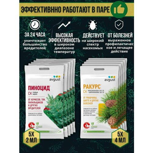          4  +  2 ,  10 ,   1069 