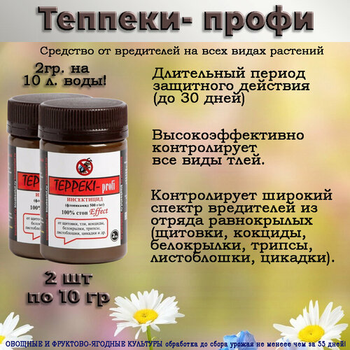 ���� ������� 2 ��, ������ �� 740 ���