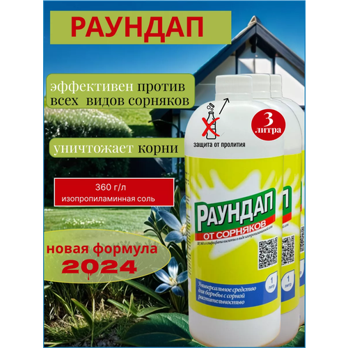 ���� ������� 3 ����� �������� �� ��������, ������ �� 2429 ���