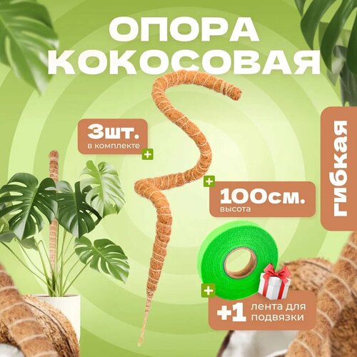 ���� ��������� ����� ��� �������� ������, 100��, 3��, ������ �� 900 ���