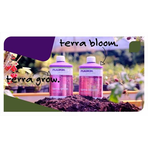 ���� Plagron Terra Grow (5�). ��������� ��� �����, ������ �� 6200 ���