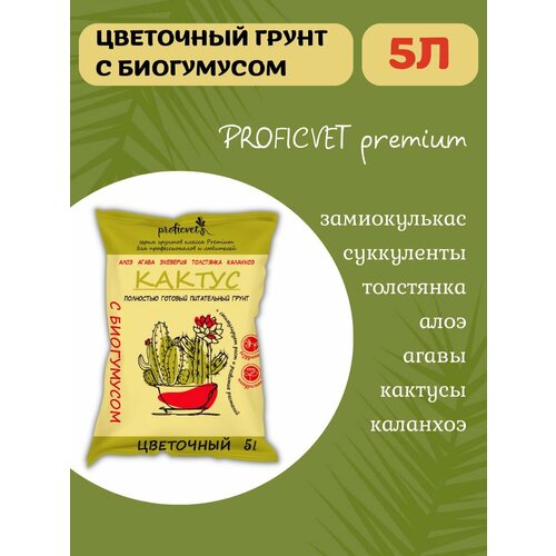 ���� ����� ��� ����������� �������� ������������ 