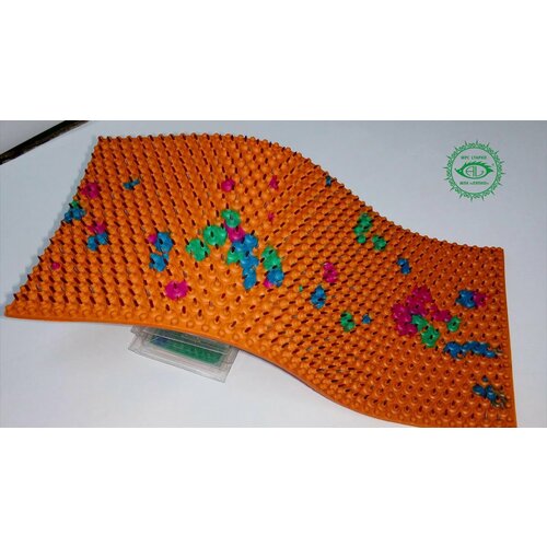 ���� ���������� ����� 