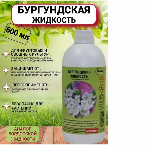 ���� ����������� ��������, �������� ��� ������ ������� �� ��������, ������ ���������� ��������,500��, ������ �� 595 ���