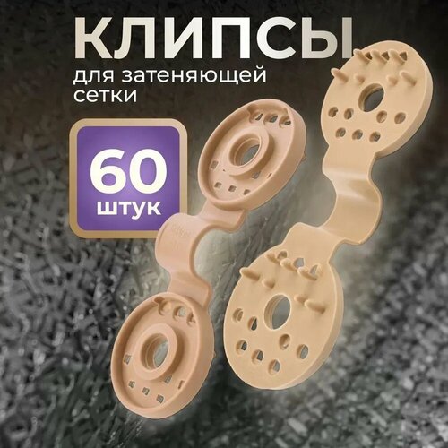 ���� ������ ��� ����� 