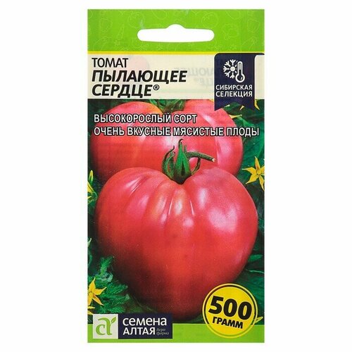 ���� ������ ������ ����� ����� �������� ������, 0,05 �, ������ �� 63 ���