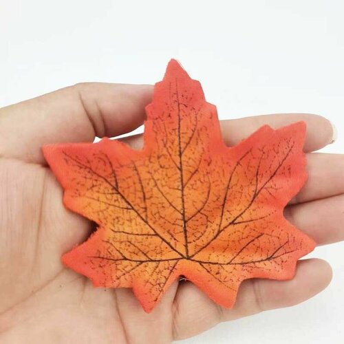 ���� ����� ������� 