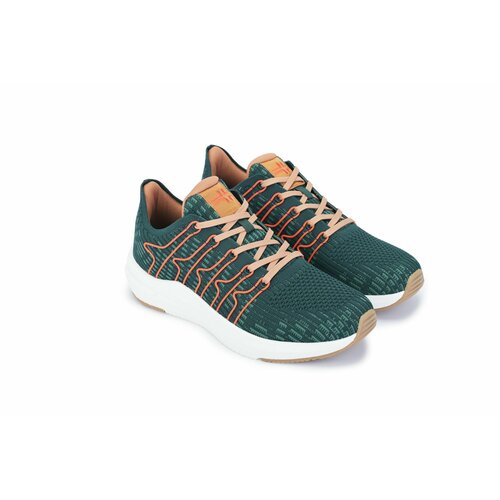 ���� ������� �������������� ��������� ORTENBERG Honnef, ���. 13.24, ����-������, ������ 42, ������ �� 3520 ���