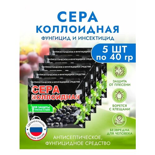 ���� ���������� ����, ������ �� 230 ���