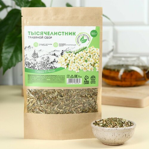 ���� �������������, �������� ����, ��������������������� ������, �������� ���������, 50 �. 1��., ������ �� 441 ���