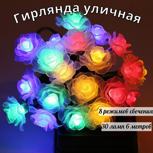 ���� ������������ �������� � ����� ��� �� ��������� ������� 30 ���� 6 ������, ������ �� 790 ���