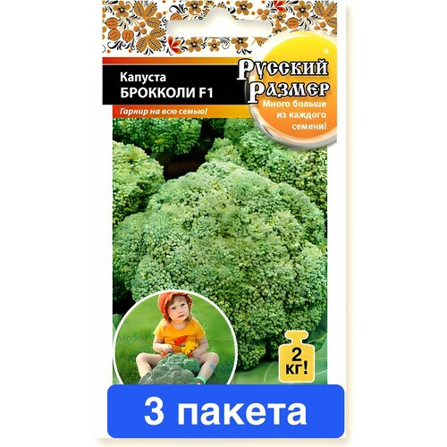 ���� ������ ������ ������� ������ 