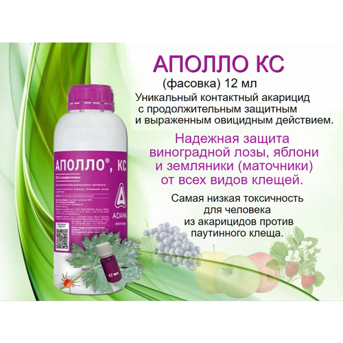 ���� ������ �� (�������) 12 ��, ������ �� 540 ���