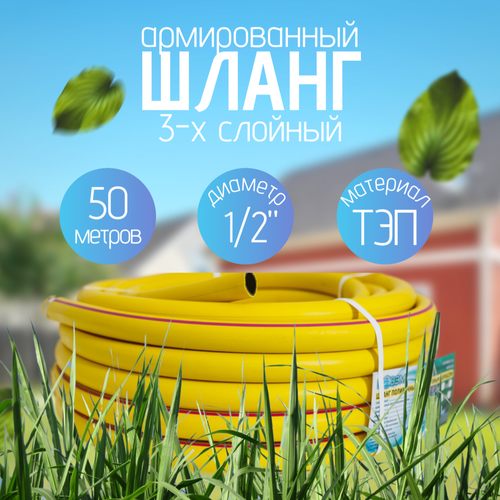 ���� ����� ���������� 1/2