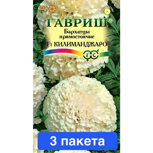 ���� ����� �������� ������������ ������������ F1 3 ������, ������ �� 635 ���