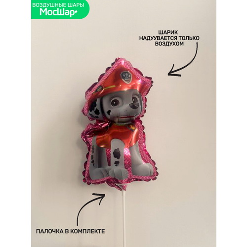 ���� ��� �� ������� ���� ������ ������� ������� ������, ������ �� 324 ���