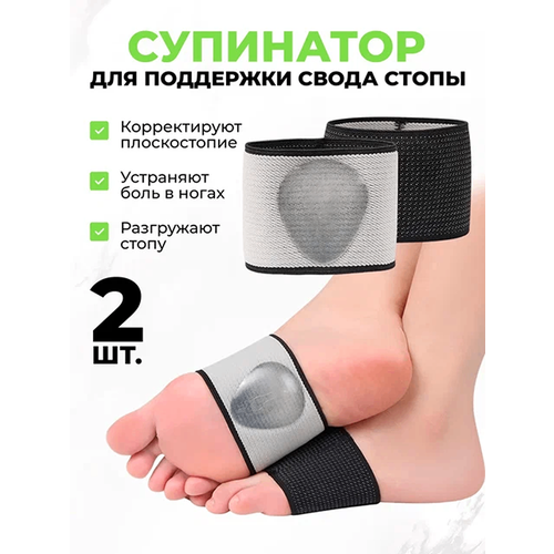 ���� QuisLife - �������-���������� ��� ������������, ������ �� 323 ���