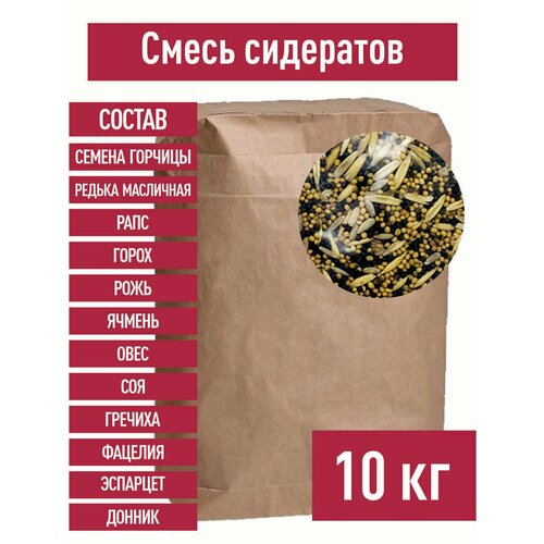 ���� ����� ��������� 10 �� ������� ������ ����� ���� ������ ���� ������� ������� ������ �������� ��������� ���������� �����, ������ �� 2099 ���