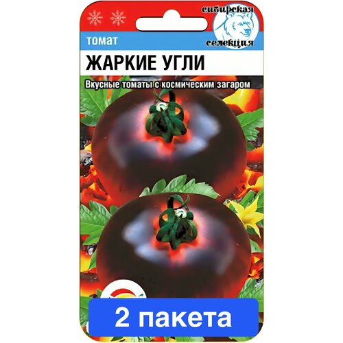 ���� ������ ������ ��������� ��� 