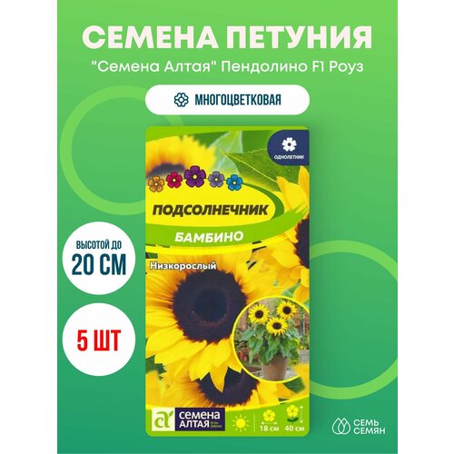 ���� ������ ������� �������������� 