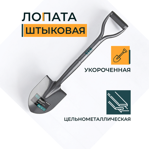 ���� ������ �������� �����������, ������ ��� �����, ������ �������������, ������ � ������������� ��������, ������ �� 850 ���