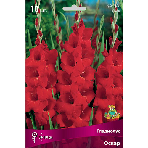 ���� �������� ���������� ����� ����� 3 x 3 ��, ������ �� 229 ���