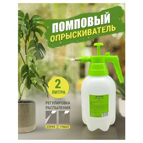 ���� ������������� ������ , 2�, 