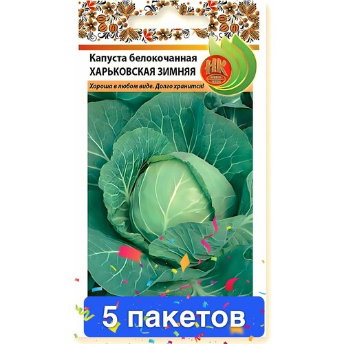 ���� ������ ������ ������� ������ 