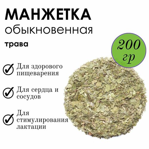 ���� �������� � ������������, ������� �������� �������� ������ � �������� ��������, ����� ������� ������� 200�, ������ �� 510 ���