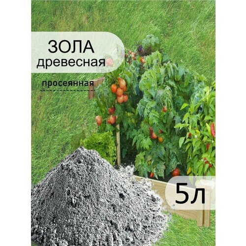 ���� ���� ���������-����������, 5�, ������ �� 909 ���