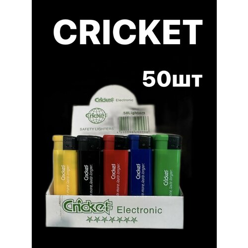 ���� ��������� Cricket ����� /50��, ������ �� 1249 ���