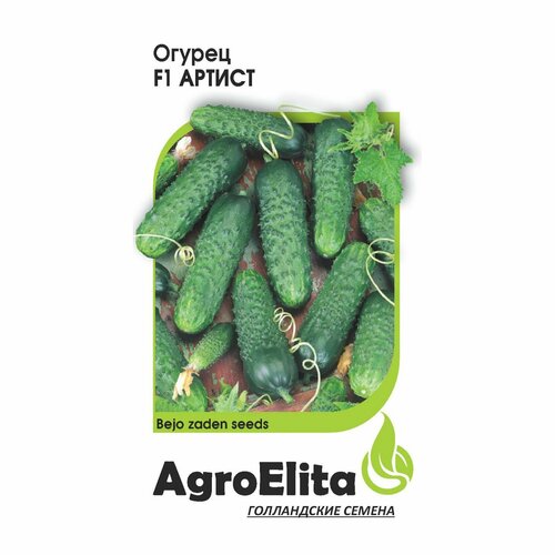 ���� ������ ������ ������ F1 5�� ������������������ ������ ���� (���������) ���������, ������ �� 250 ���