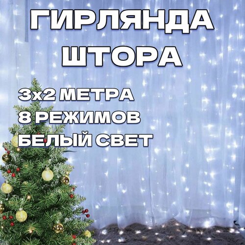 ���� �������� ����� 