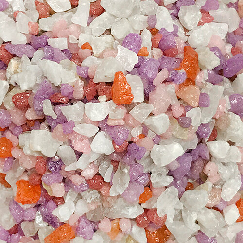 ���� ����������� ����� ��� ��������, ����������� � ��������, Zoo One, ��������� ��������, 