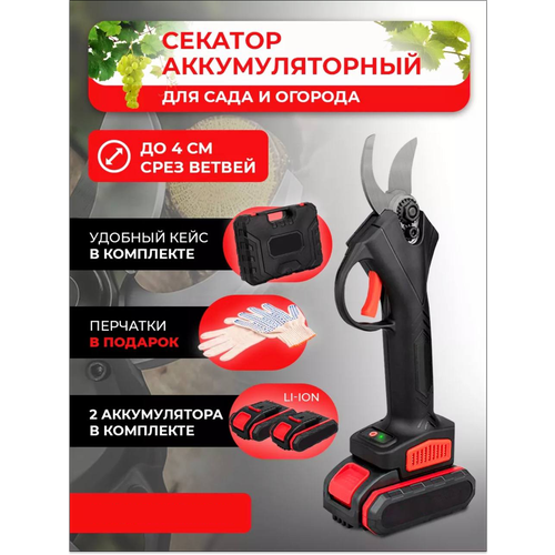 ���� ������� �������������� ������� ��� ���� � �������: �������� � �������� � ������, ������ �� 9499 ���