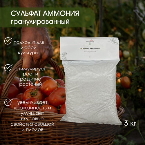 ���� ������� ������� 3 �� ��������, ������ �� 297 ���