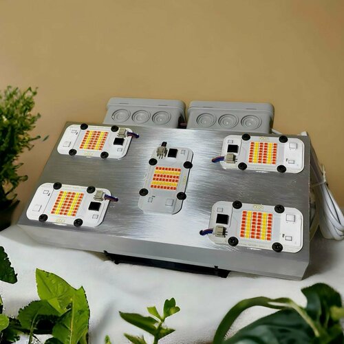 ���� ��������� 