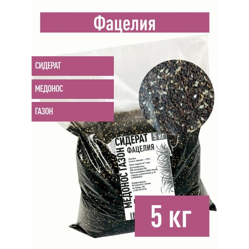 ���� ������� ������, 5 �� ������� ������� �����, ������ �� 2530 ���