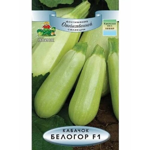 ���� ������� 