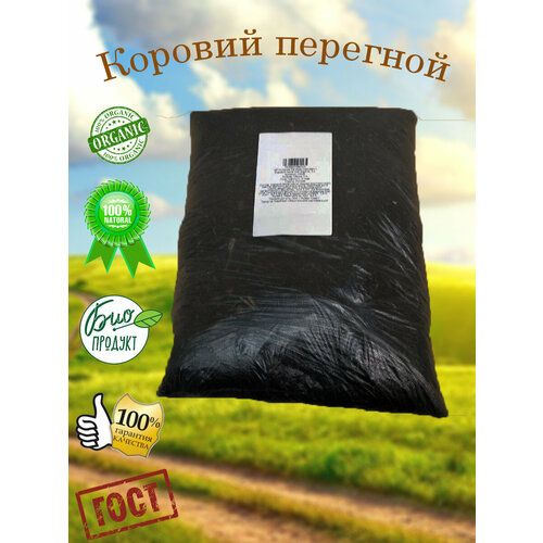 ���� ������� �������� - ������������ ���������, ������ �� 599 ���