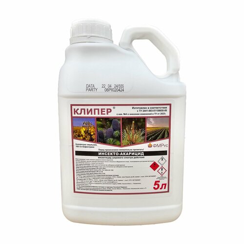 ���� ������ (�� �������) 5 �, ������ �� 19000 ���