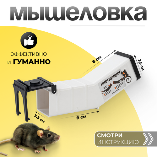 ���� �������� ���������, ����������������� ������������ ������� ��� �����, ��������� �������, ������ �� 192 ���