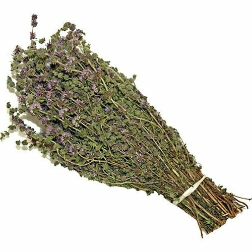 ���� ����� ��� ���� ���� ��������, ������ �� 303 ���