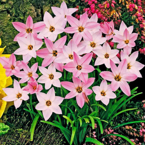 ���� ������ �������� ����� 10 ��., ������ �� 360 ���