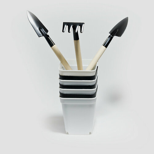 ���� ����� ��� �������, ������ �� 490 ���