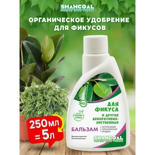 ���� ������� ��� ������ � �����������-���������� �������� �� ������ ���������� ������ ��������� ��� ��������� ��������, ������ �� 390 ���