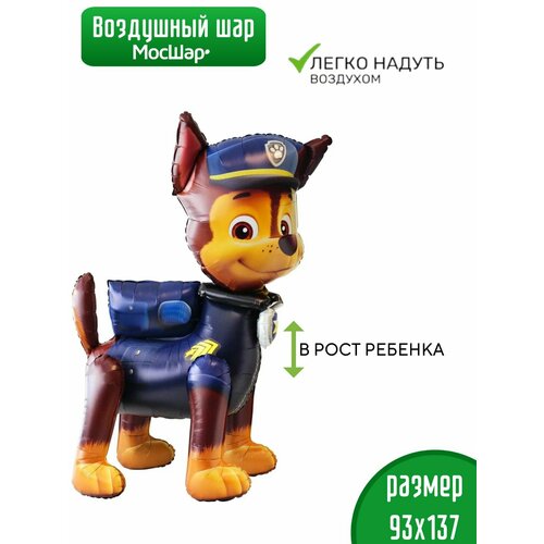 ���� ��������� ��� ������� �� ������ ������ ������� �������, ������ �� 1639 ���